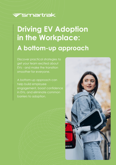 e-book cover